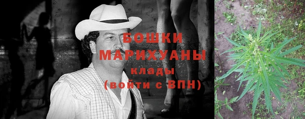 спиды Арсеньев