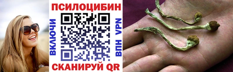 Купить где  Урень  Галлюциногенные грибы GOLDEN TEACHER 